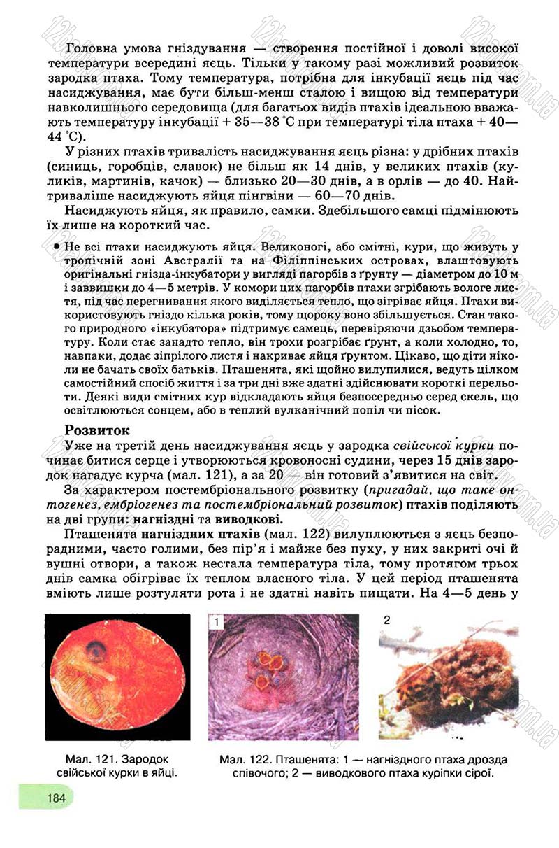 Сторінка 184 - Підручник Біологія 8 клас С.В. Межжерін, Я.О. Межжеріна 2008