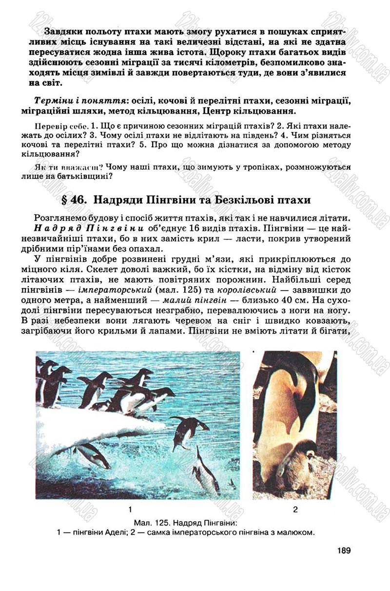 Сторінка 189 - Підручник Біологія 8 клас С.В. Межжерін, Я.О. Межжеріна 2008