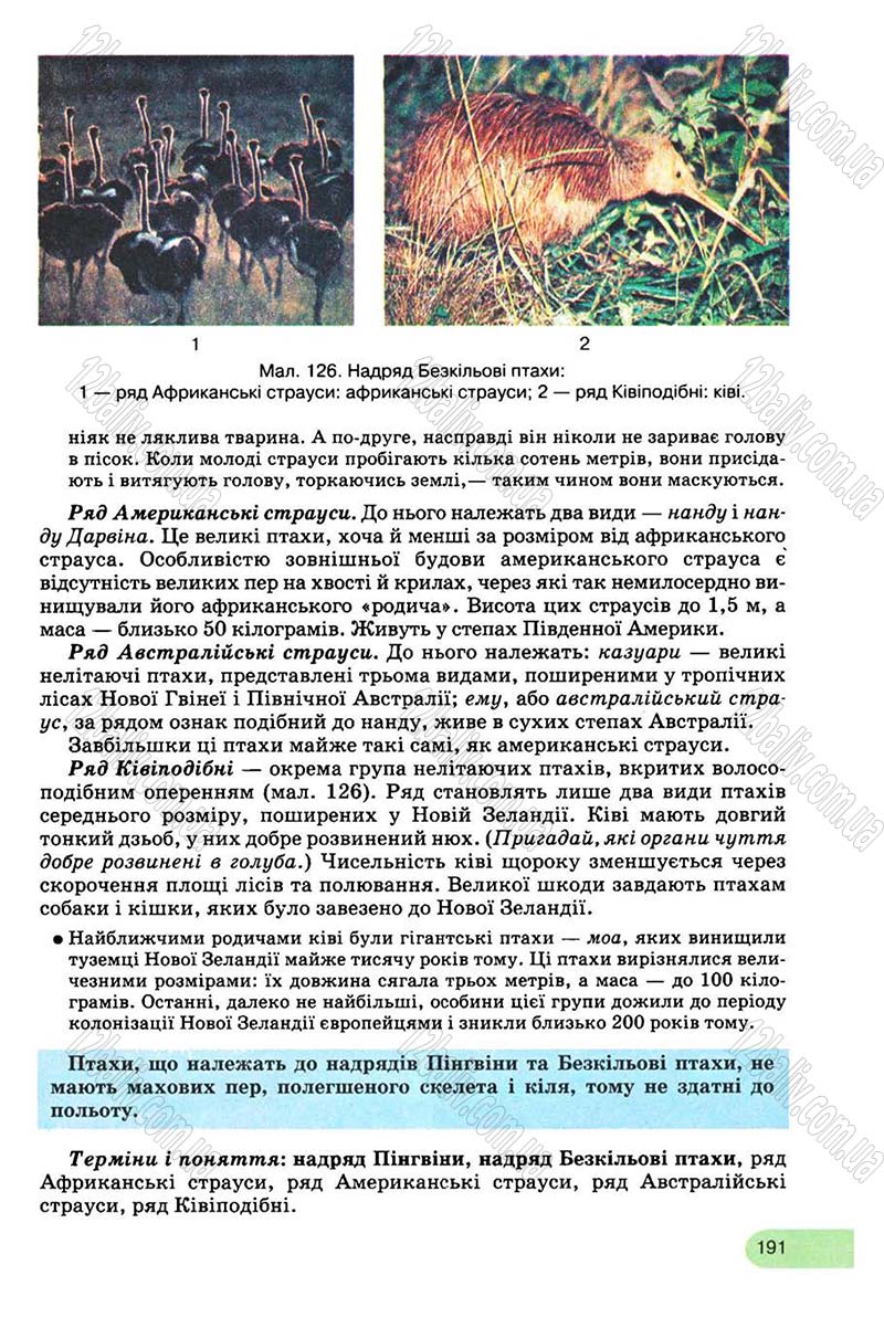 Сторінка 191 - Підручник Біологія 8 клас С.В. Межжерін, Я.О. Межжеріна 2008