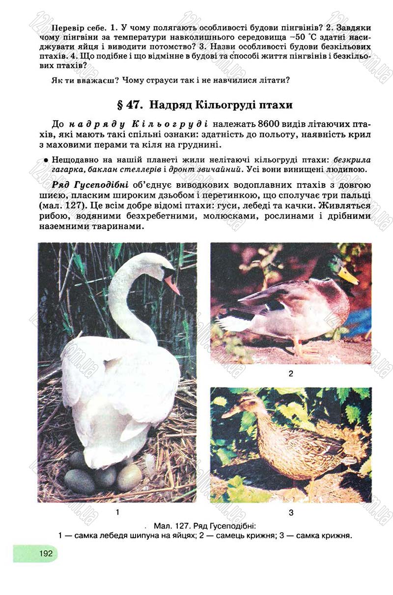 Сторінка 192 - Підручник Біологія 8 клас С.В. Межжерін, Я.О. Межжеріна 2008