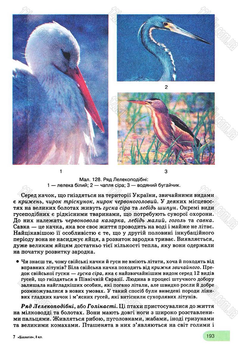 Сторінка 193 - Підручник Біологія 8 клас С.В. Межжерін, Я.О. Межжеріна 2008