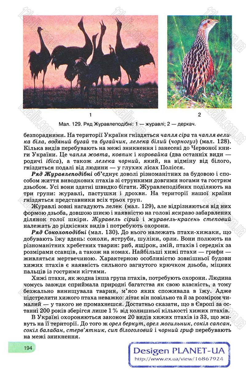 Сторінка 194 - Підручник Біологія 8 клас С.В. Межжерін, Я.О. Межжеріна 2008