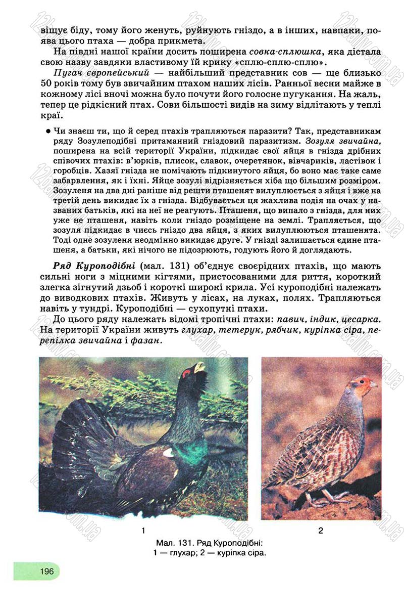 Сторінка 196 - Підручник Біологія 8 клас С.В. Межжерін, Я.О. Межжеріна 2008
