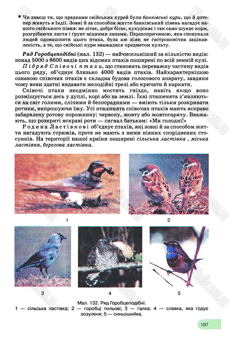 Сторінка 197 - Підручник Біологія 8 клас С.В. Межжерін, Я.О. Межжеріна 2008