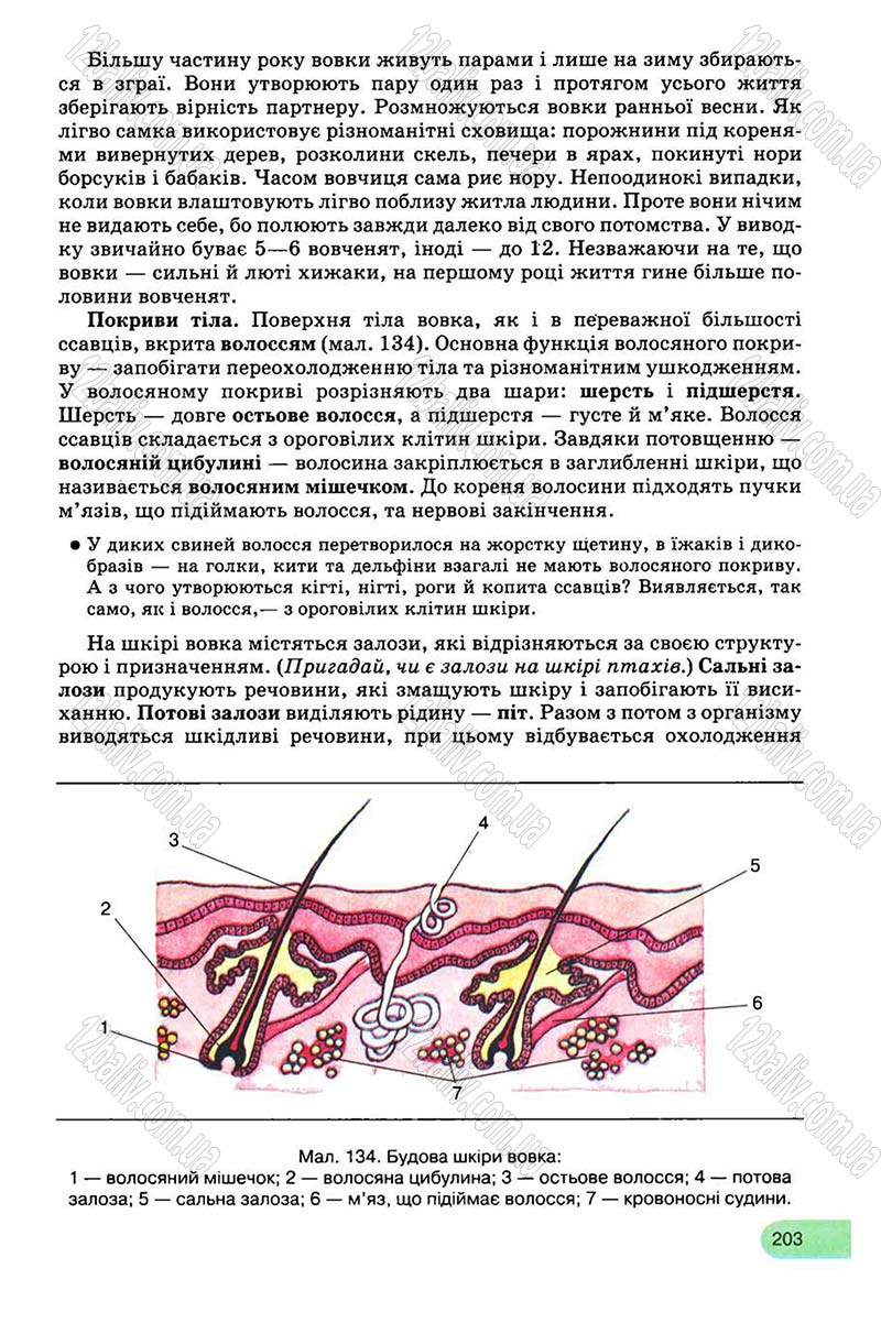 Сторінка 203 - Підручник Біологія 8 клас С.В. Межжерін, Я.О. Межжеріна 2008