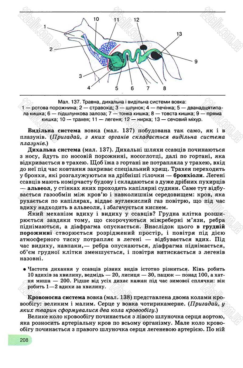 Сторінка 208 - Підручник Біологія 8 клас С.В. Межжерін, Я.О. Межжеріна 2008