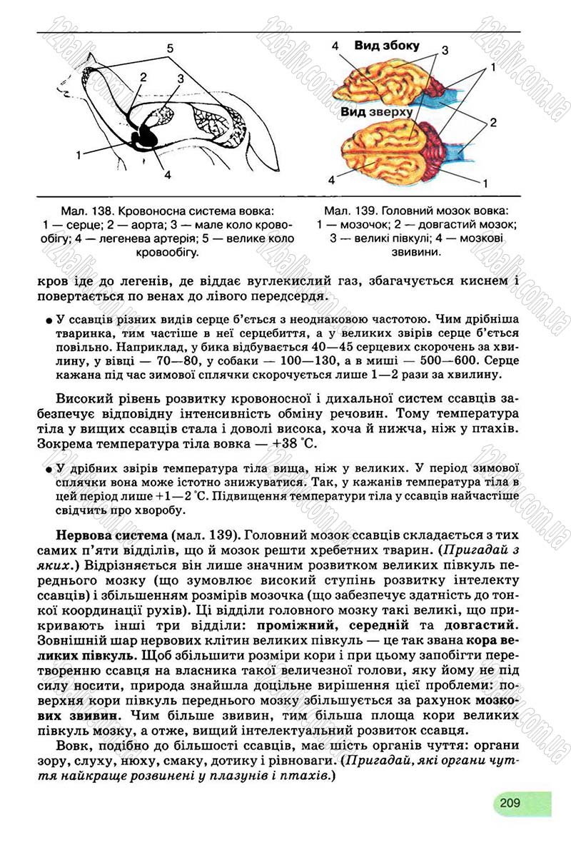 Сторінка 209 - Підручник Біологія 8 клас С.В. Межжерін, Я.О. Межжеріна 2008
