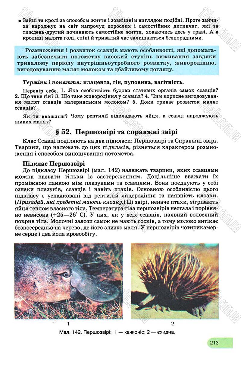 Сторінка 213 - Підручник Біологія 8 клас С.В. Межжерін, Я.О. Межжеріна 2008