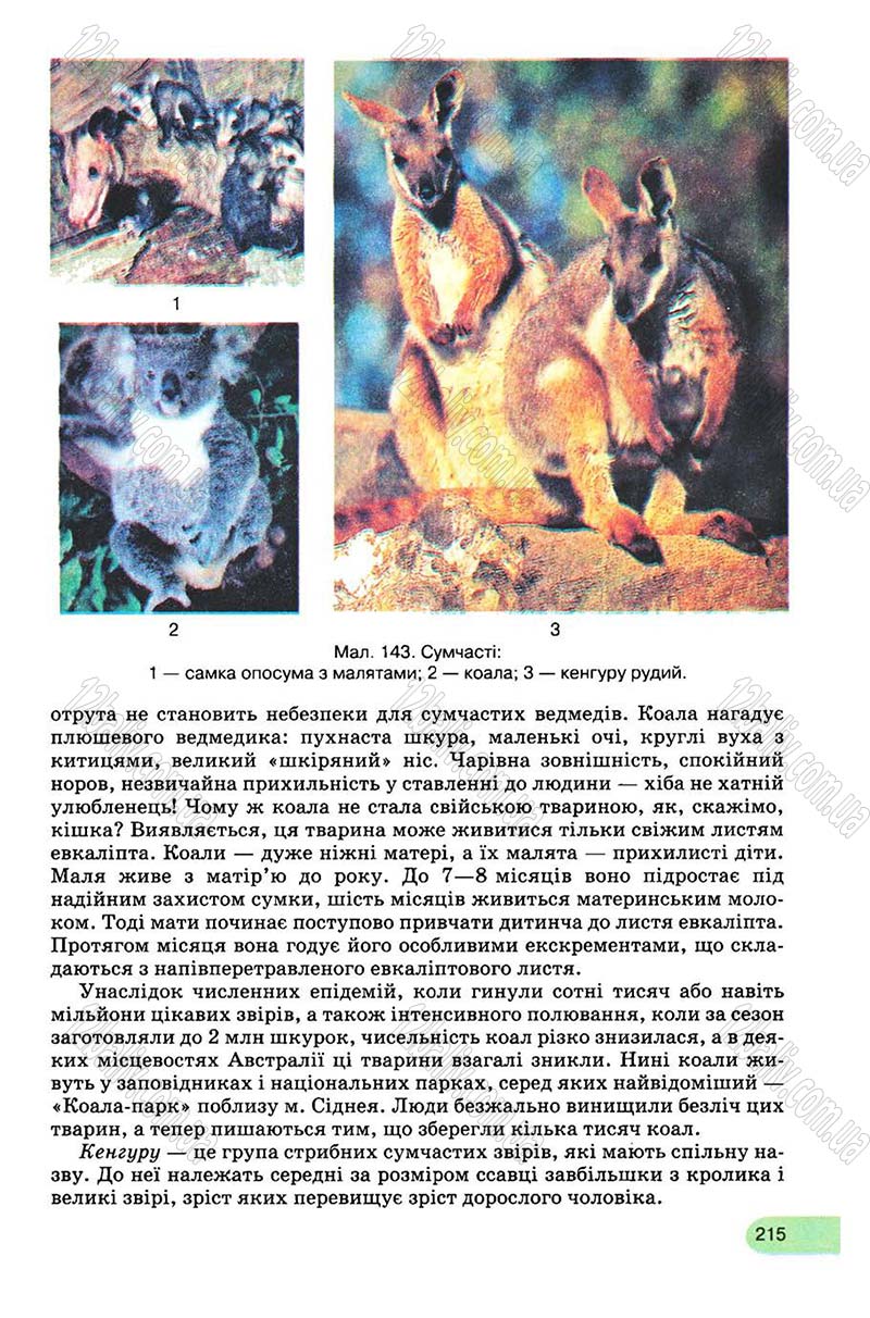 Сторінка 215 - Підручник Біологія 8 клас С.В. Межжерін, Я.О. Межжеріна 2008