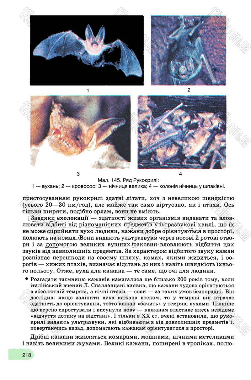 Сторінка 218 - Підручник Біологія 8 клас С.В. Межжерін, Я.О. Межжеріна 2008