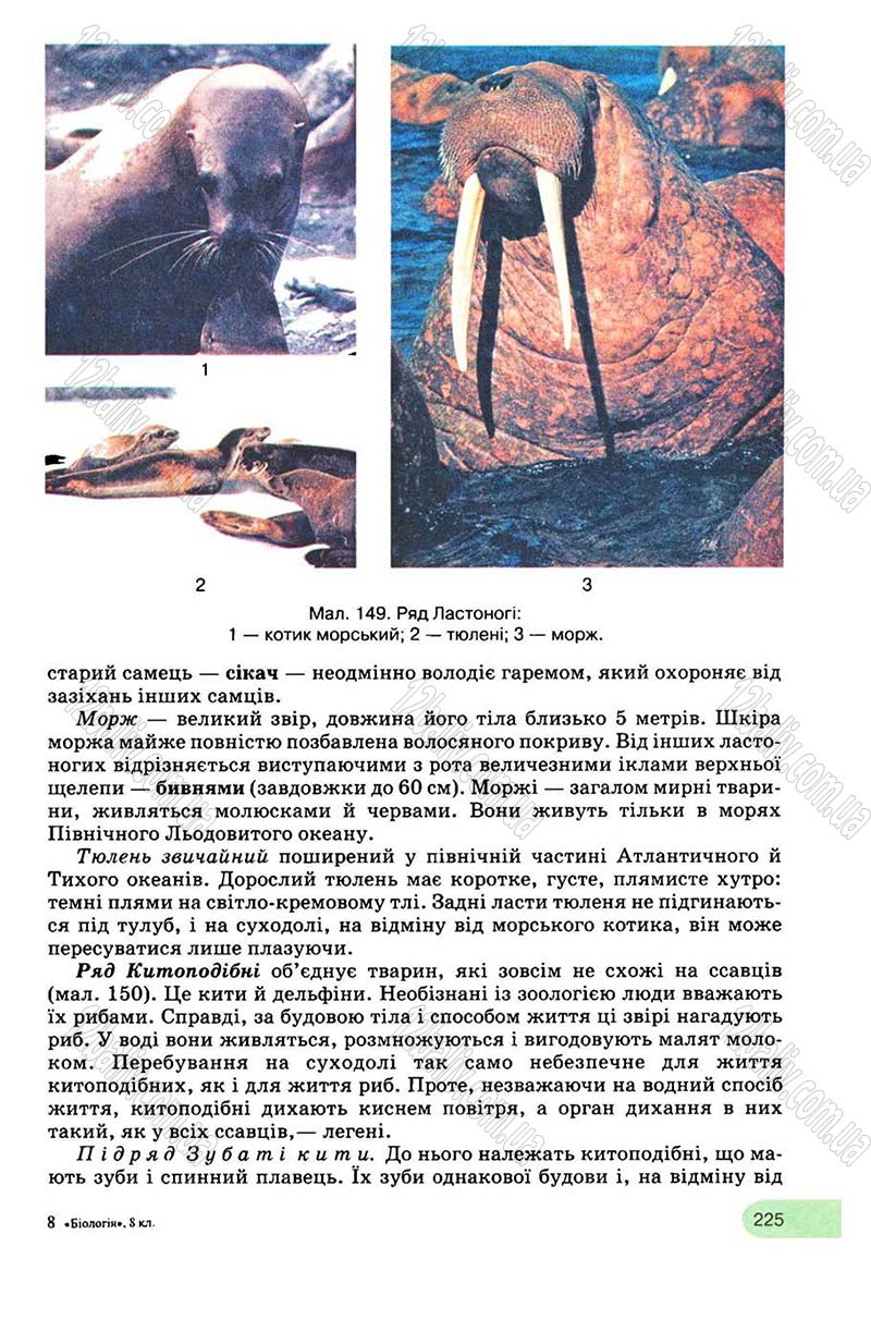 Сторінка 225 - Підручник Біологія 8 клас С.В. Межжерін, Я.О. Межжеріна 2008