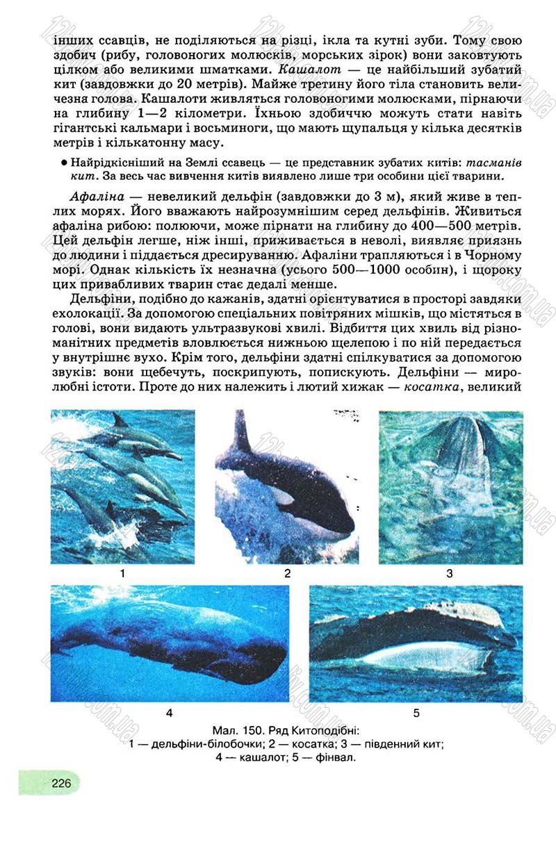 Сторінка 226 - Підручник Біологія 8 клас С.В. Межжерін, Я.О. Межжеріна 2008