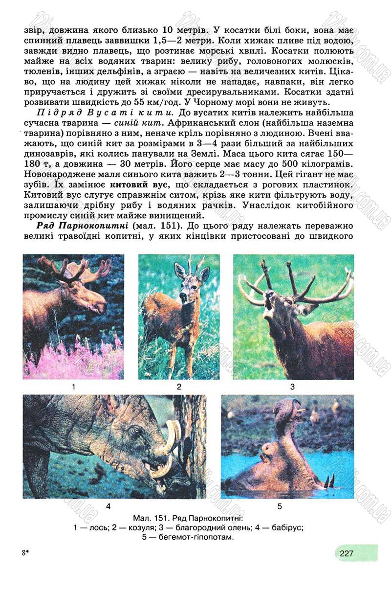 Сторінка 227 - Підручник Біологія 8 клас С.В. Межжерін, Я.О. Межжеріна 2008