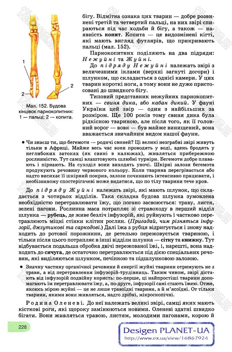 Сторінка 228 - Підручник Біологія 8 клас С.В. Межжерін, Я.О. Межжеріна 2008