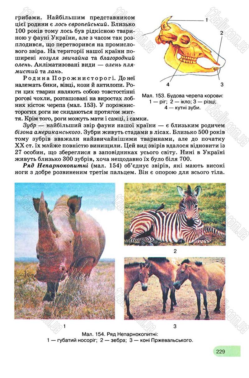 Сторінка 229 - Підручник Біологія 8 клас С.В. Межжерін, Я.О. Межжеріна 2008