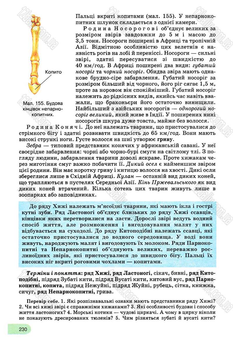 Сторінка 230 - Підручник Біологія 8 клас С.В. Межжерін, Я.О. Межжеріна 2008
