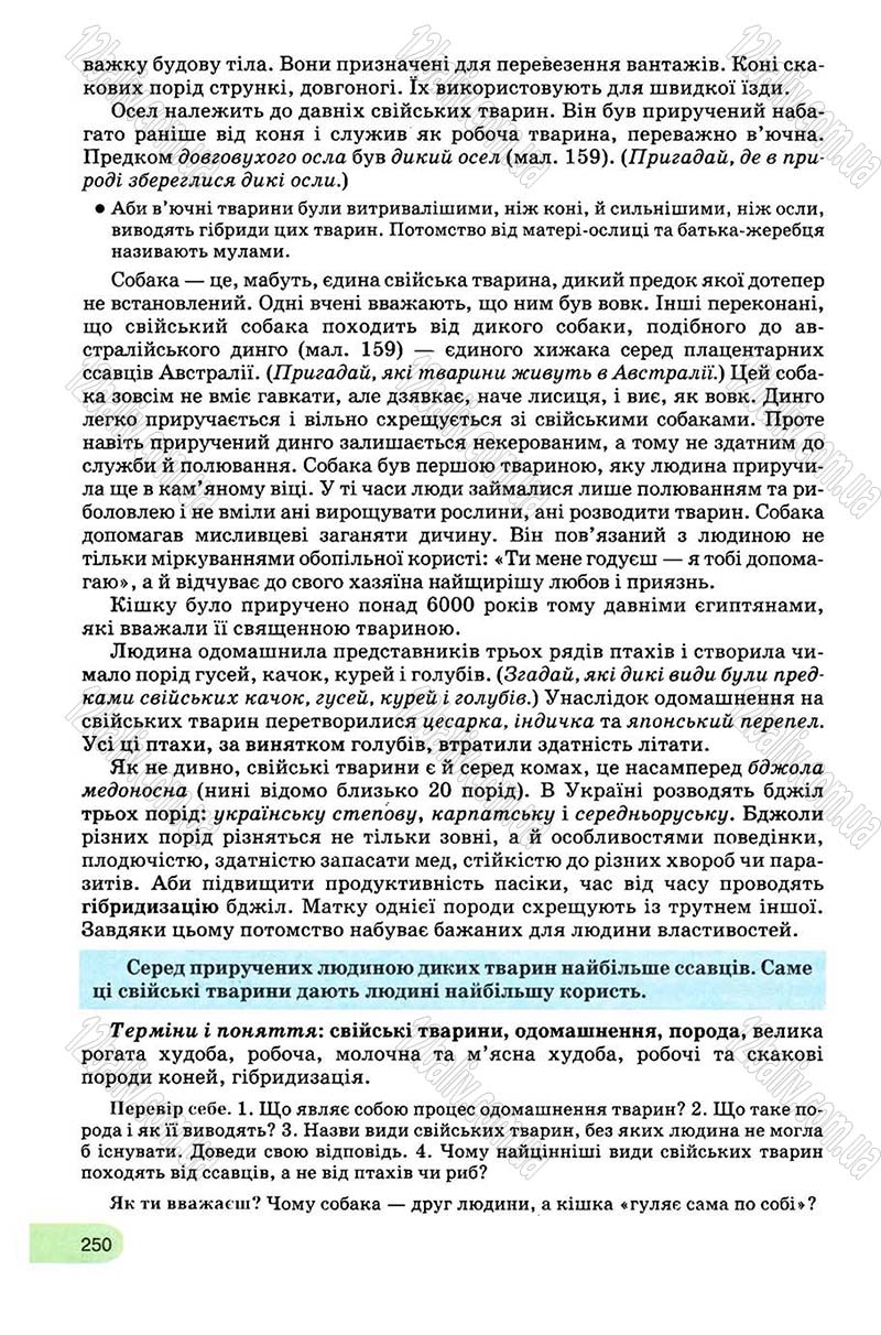 Сторінка 250 - Підручник Біологія 8 клас С.В. Межжерін, Я.О. Межжеріна 2008