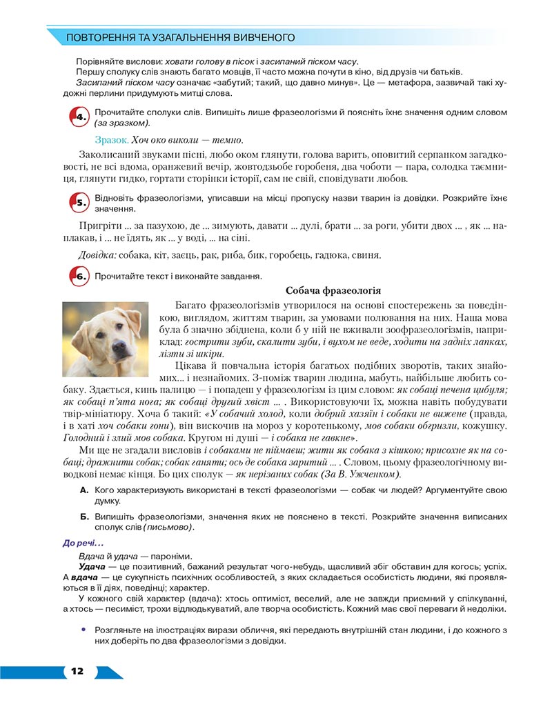 Сторінка 12 - Підручник Українська мова 8 клас Авраменко 2021 - скачати онлайн