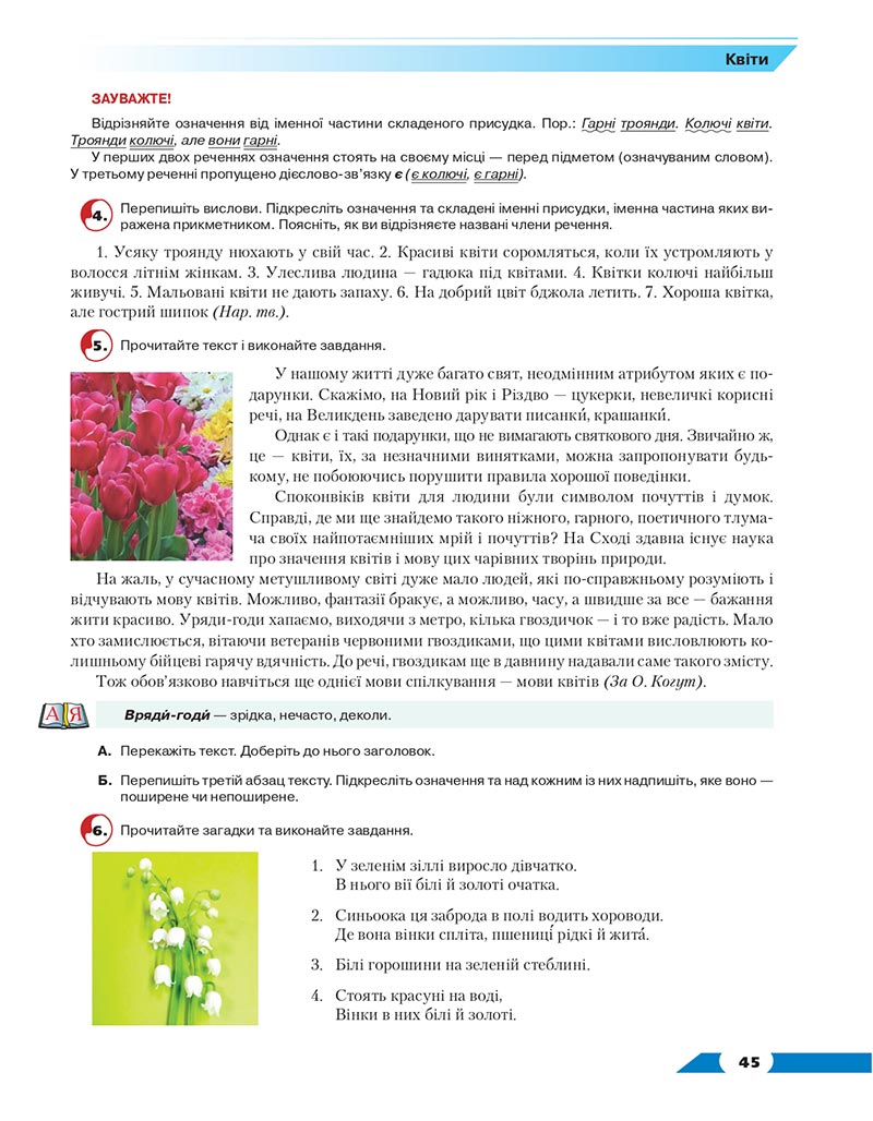 Сторінка 45 - Підручник Українська мова 8 клас Авраменко 2021 - скачати онлайн