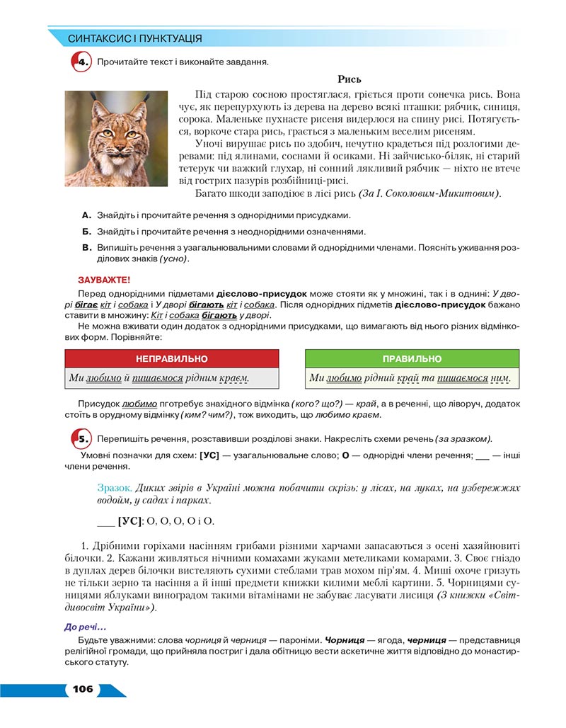 Сторінка 106 - Підручник Українська мова 8 клас Авраменко 2021 - скачати онлайн
