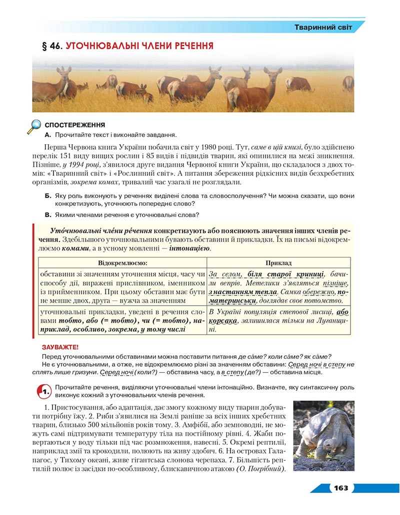 Сторінка 163 - Підручник Українська мова 8 клас Авраменко 2021 - скачати онлайн