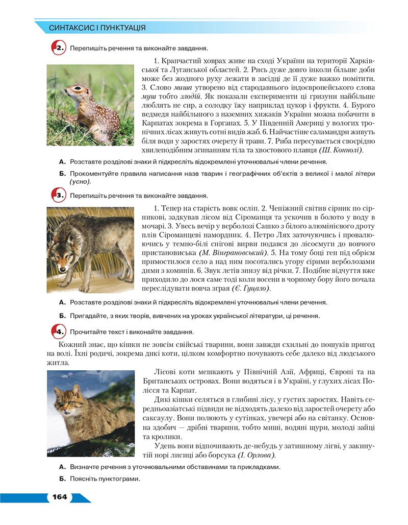 Сторінка 164 - Підручник Українська мова 8 клас Авраменко 2021 - скачати онлайн