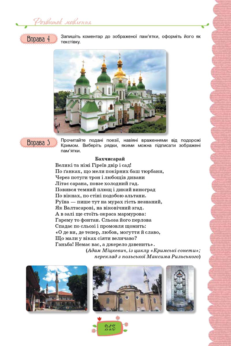 Сторінка 213 - Підручник Українська мова 8 клас О. М. Данилевська 2021 - скачати онлайн