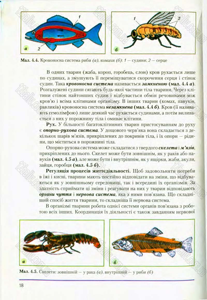 Сторінка 18 - Підручник Біологія 8 клас Т.І. Базанова, Ю.В. Павіченко, О.Г. Шатровський 2008