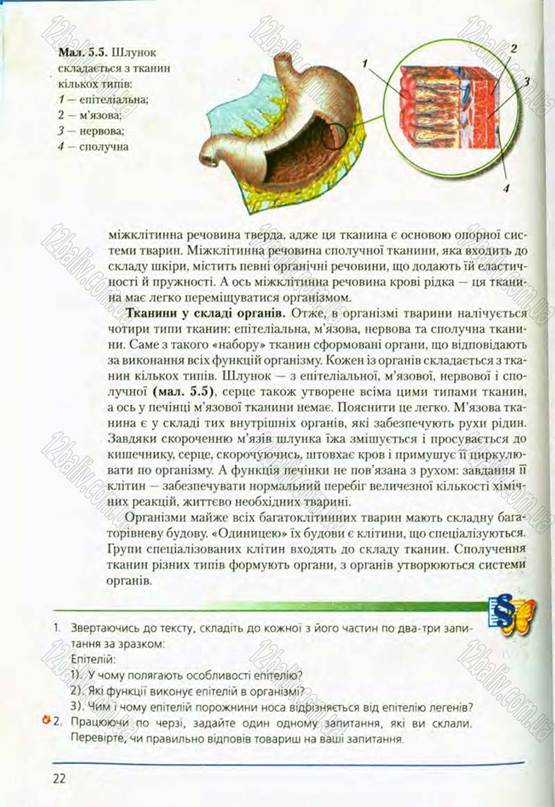Сторінка 22 - Підручник Біологія 8 клас Т.І. Базанова, Ю.В. Павіченко, О.Г. Шатровський 2008