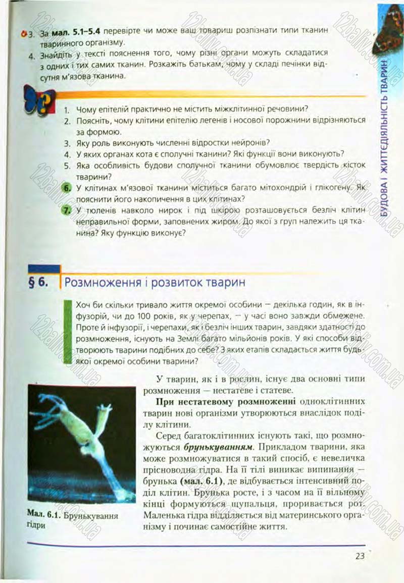 Сторінка 23 - Підручник Біологія 8 клас Т.І. Базанова, Ю.В. Павіченко, О.Г. Шатровський 2008