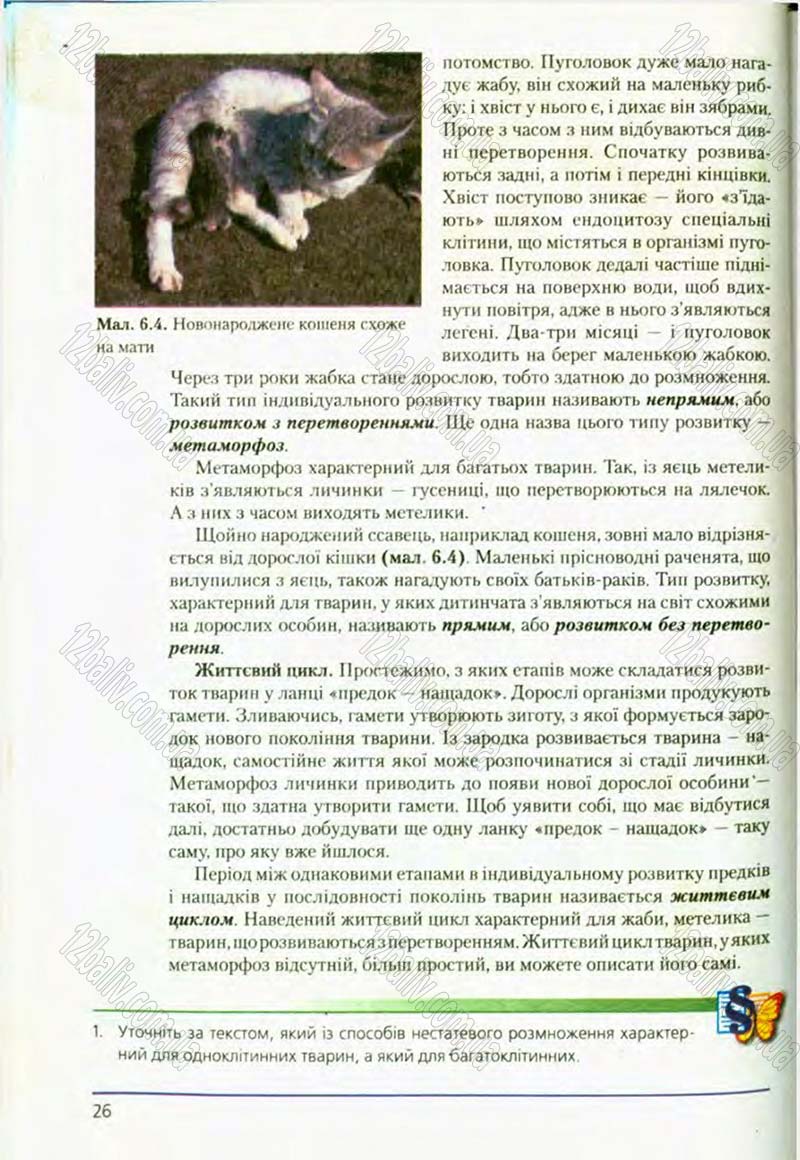 Сторінка 26 - Підручник Біологія 8 клас Т.І. Базанова, Ю.В. Павіченко, О.Г. Шатровський 2008