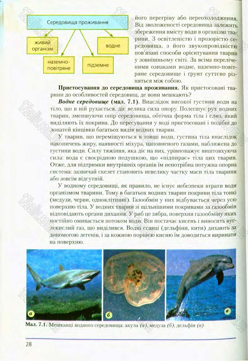 Сторінка 28 - Підручник Біологія 8 клас Т.І. Базанова, Ю.В. Павіченко, О.Г. Шатровський 2008