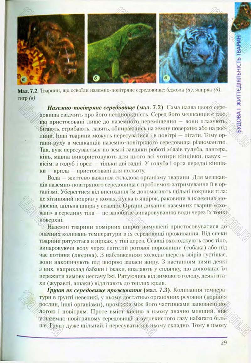 Сторінка 29 - Підручник Біологія 8 клас Т.І. Базанова, Ю.В. Павіченко, О.Г. Шатровський 2008