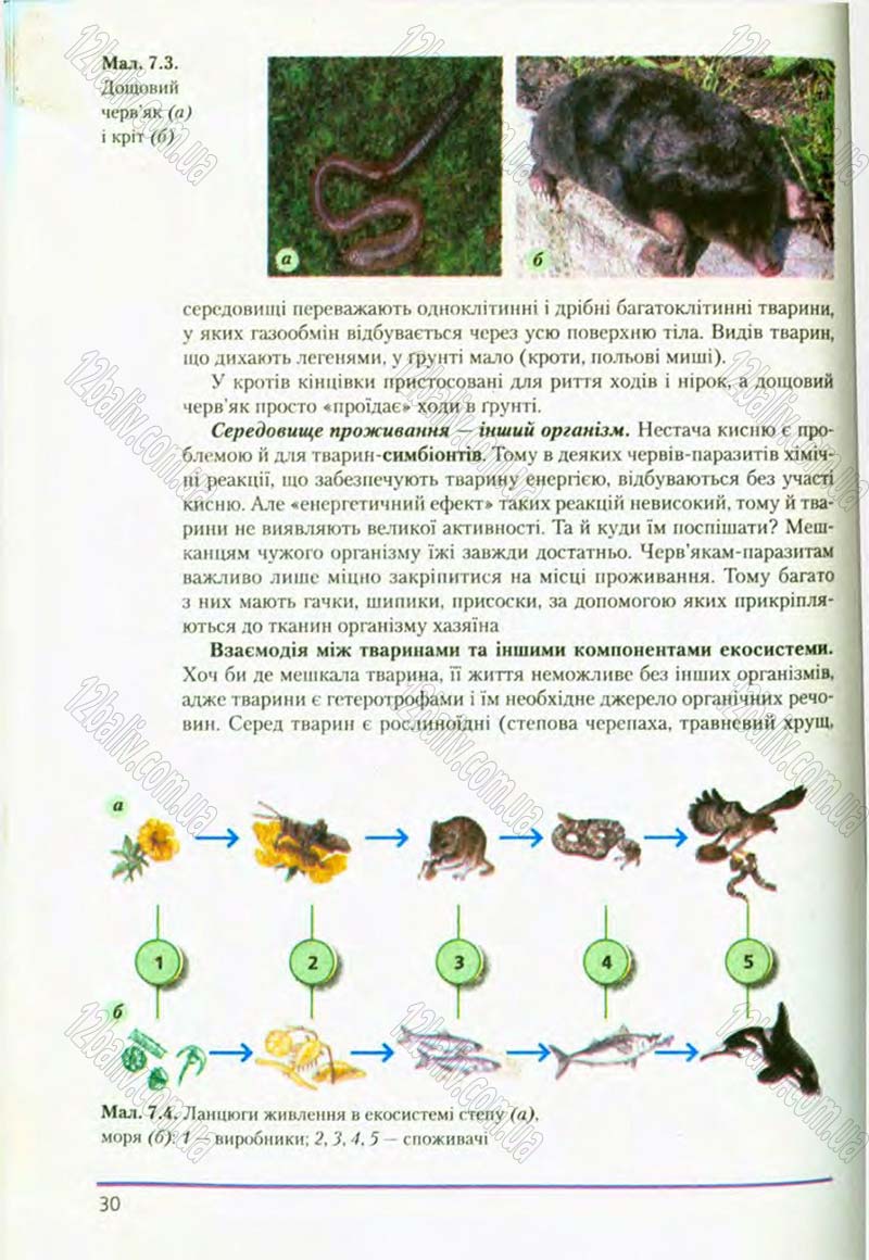 Сторінка 30 - Підручник Біологія 8 клас Т.І. Базанова, Ю.В. Павіченко, О.Г. Шатровський 2008