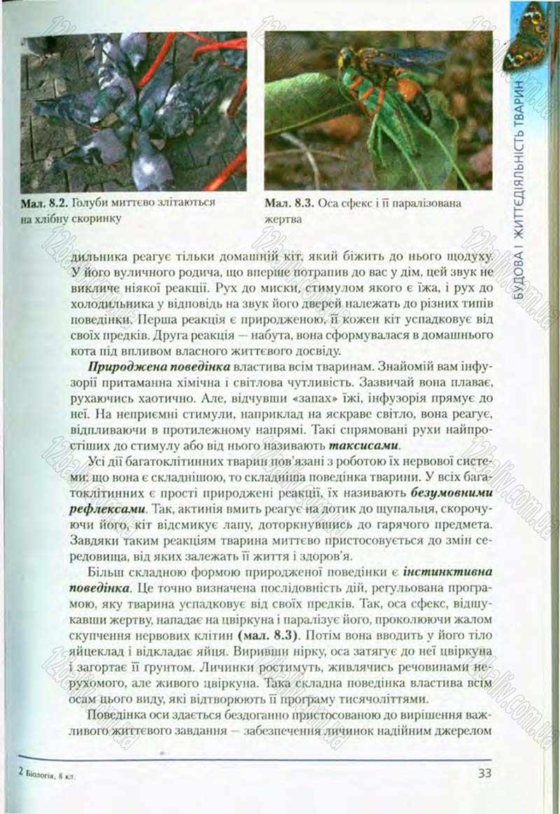 Сторінка 33 - Підручник Біологія 8 клас Т.І. Базанова, Ю.В. Павіченко, О.Г. Шатровський 2008