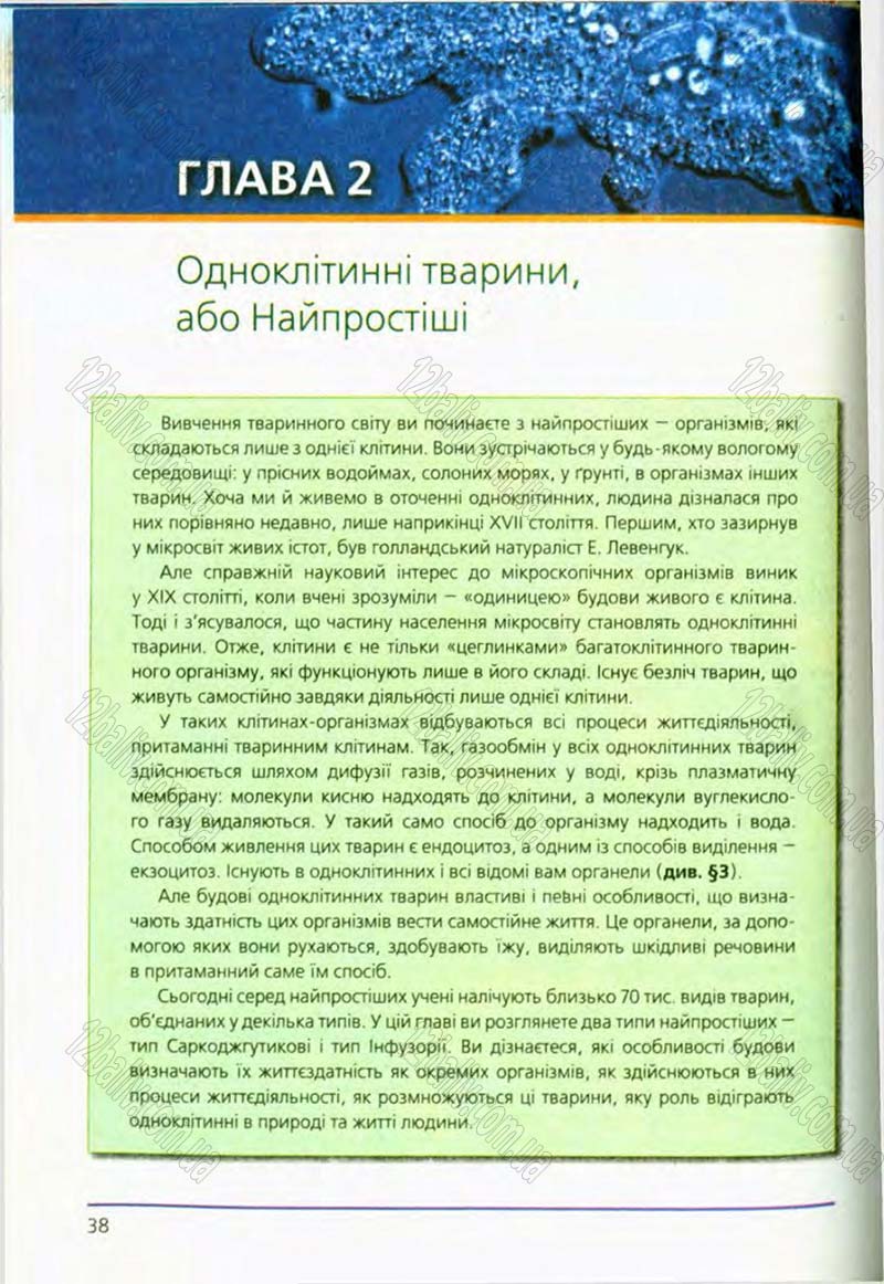 Сторінка 38 - Підручник Біологія 8 клас Т.І. Базанова, Ю.В. Павіченко, О.Г. Шатровський 2008