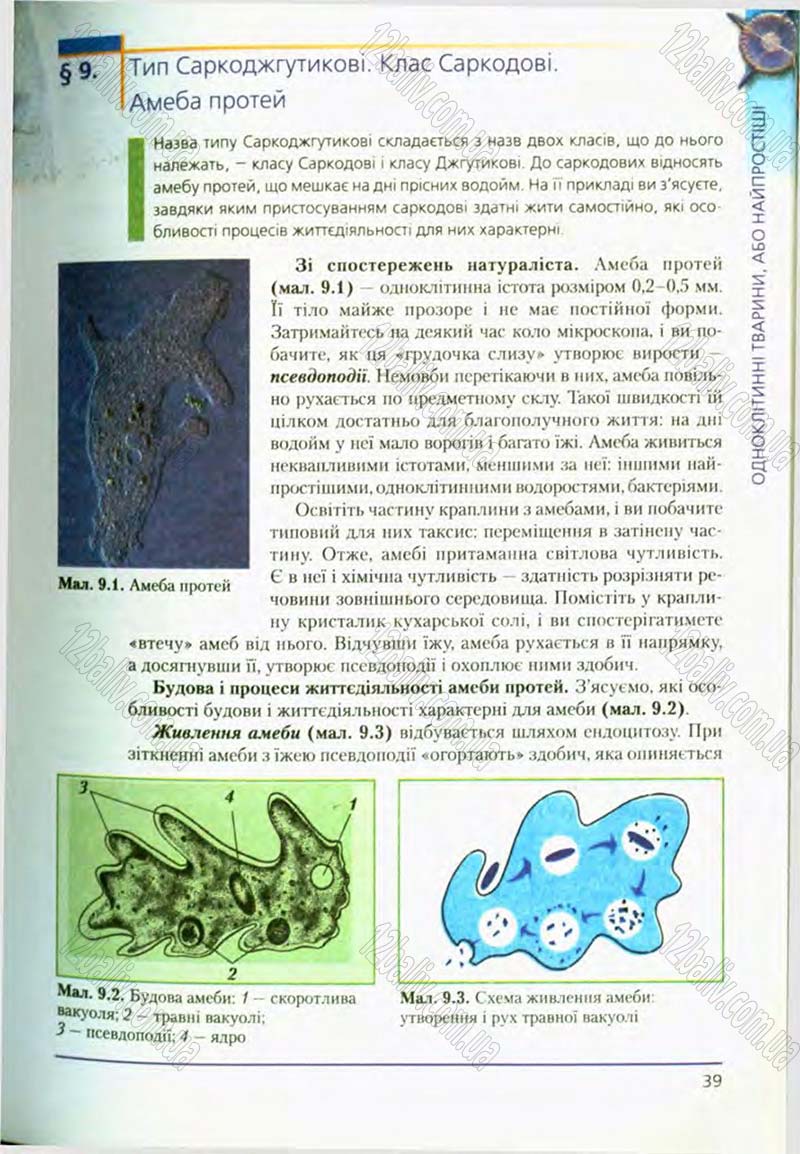 Сторінка 39 - Підручник Біологія 8 клас Т.І. Базанова, Ю.В. Павіченко, О.Г. Шатровський 2008