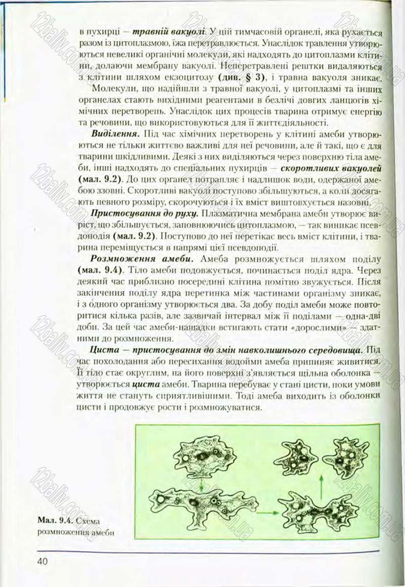 Сторінка 40 - Підручник Біологія 8 клас Т.І. Базанова, Ю.В. Павіченко, О.Г. Шатровський 2008