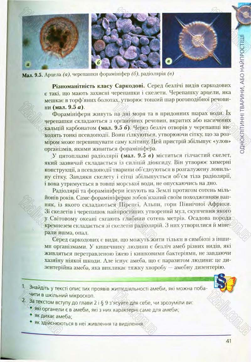 Сторінка 41 - Підручник Біологія 8 клас Т.І. Базанова, Ю.В. Павіченко, О.Г. Шатровський 2008