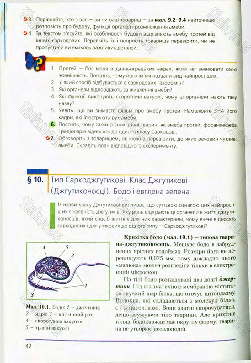 Сторінка 42 - Підручник Біологія 8 клас Т.І. Базанова, Ю.В. Павіченко, О.Г. Шатровський 2008