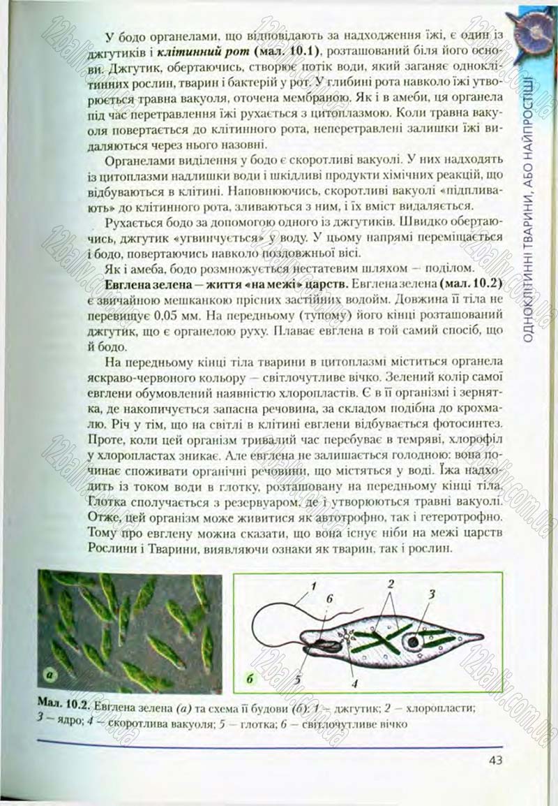 Сторінка 43 - Підручник Біологія 8 клас Т.І. Базанова, Ю.В. Павіченко, О.Г. Шатровський 2008