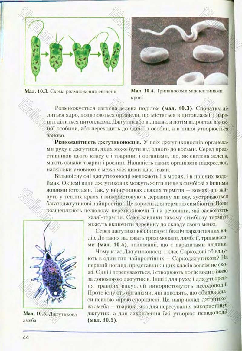 Сторінка 44 - Підручник Біологія 8 клас Т.І. Базанова, Ю.В. Павіченко, О.Г. Шатровський 2008