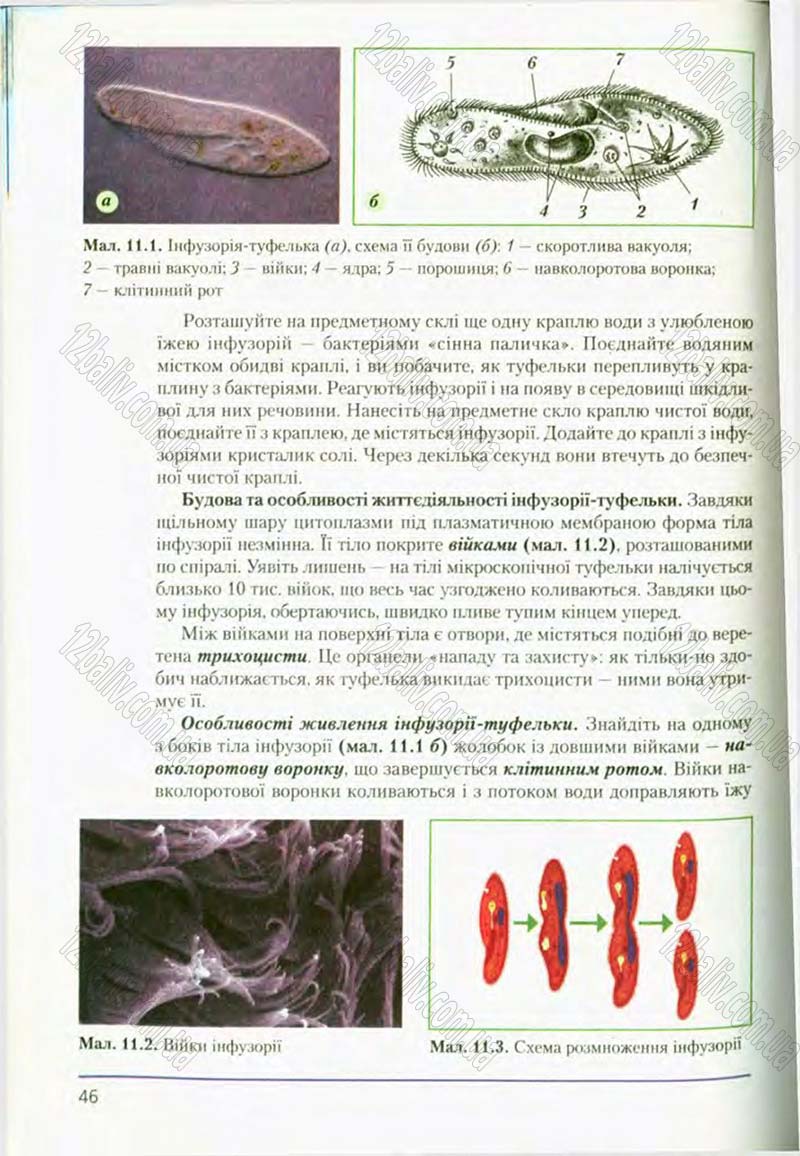 Сторінка 46 - Підручник Біологія 8 клас Т.І. Базанова, Ю.В. Павіченко, О.Г. Шатровський 2008