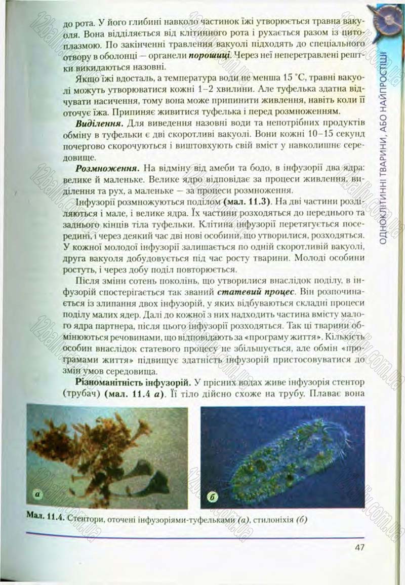 Сторінка 47 - Підручник Біологія 8 клас Т.І. Базанова, Ю.В. Павіченко, О.Г. Шатровський 2008