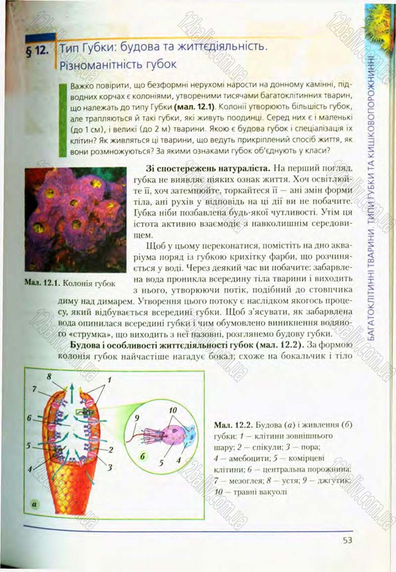 Сторінка 53 - Підручник Біологія 8 клас Т.І. Базанова, Ю.В. Павіченко, О.Г. Шатровський 2008