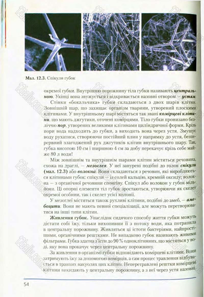 Сторінка 54 - Підручник Біологія 8 клас Т.І. Базанова, Ю.В. Павіченко, О.Г. Шатровський 2008