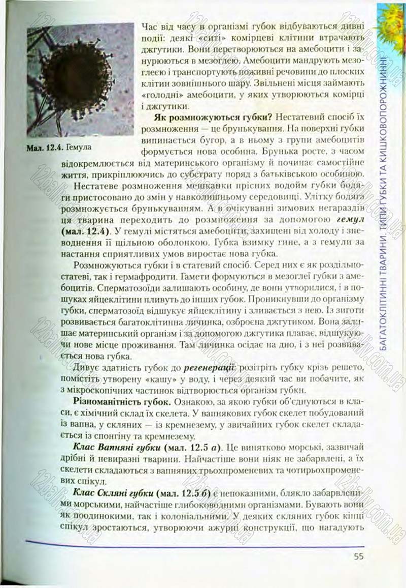 Сторінка 55 - Підручник Біологія 8 клас Т.І. Базанова, Ю.В. Павіченко, О.Г. Шатровський 2008