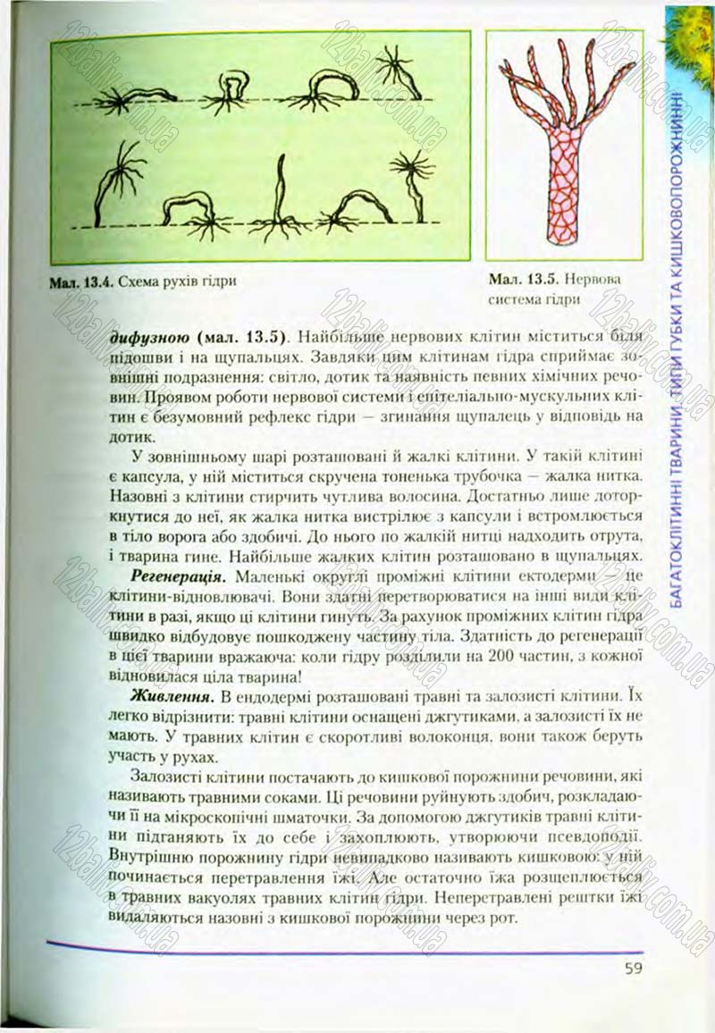Сторінка 59 - Підручник Біологія 8 клас Т.І. Базанова, Ю.В. Павіченко, О.Г. Шатровський 2008