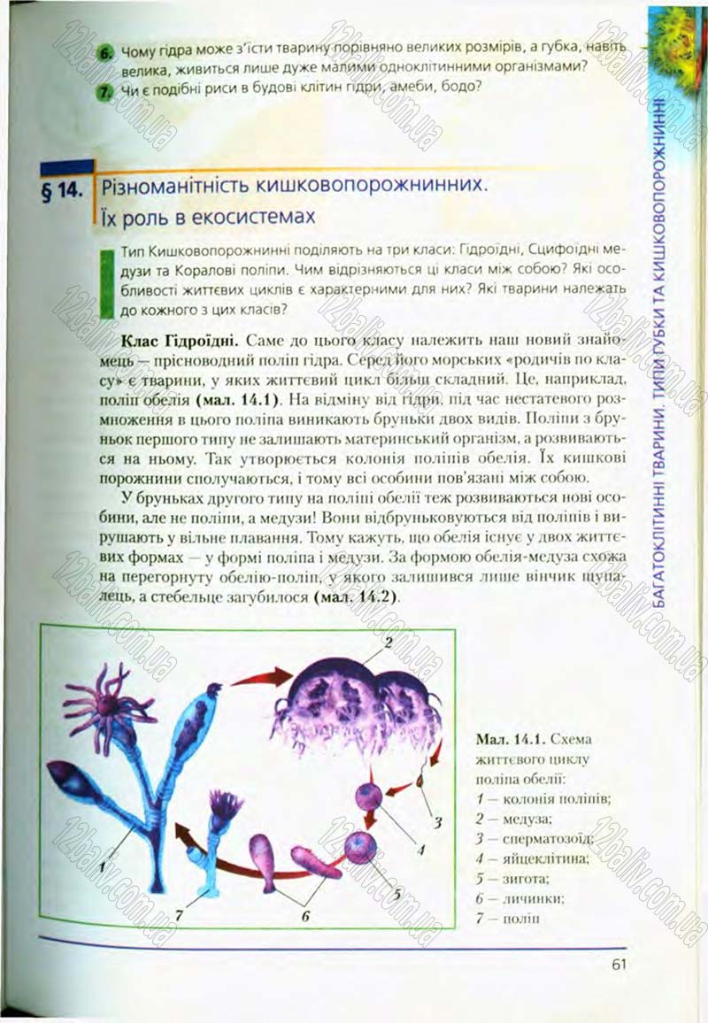 Сторінка 61 - Підручник Біологія 8 клас Т.І. Базанова, Ю.В. Павіченко, О.Г. Шатровський 2008