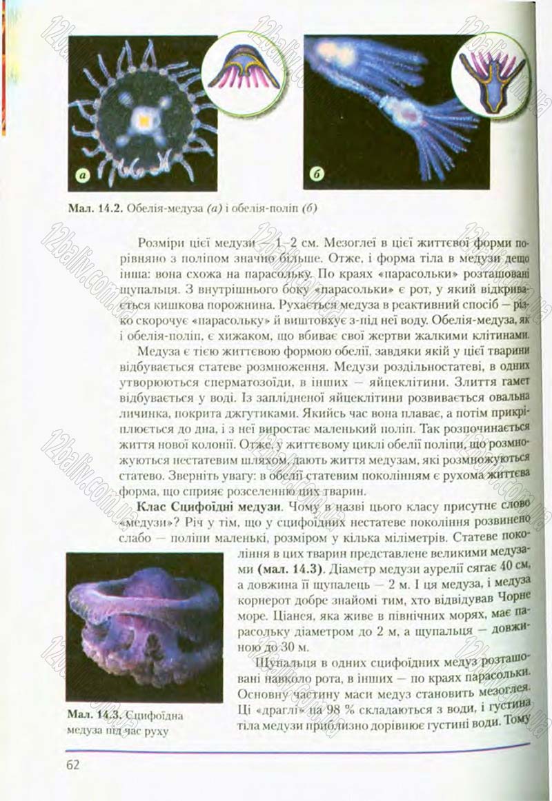 Сторінка 62 - Підручник Біологія 8 клас Т.І. Базанова, Ю.В. Павіченко, О.Г. Шатровський 2008